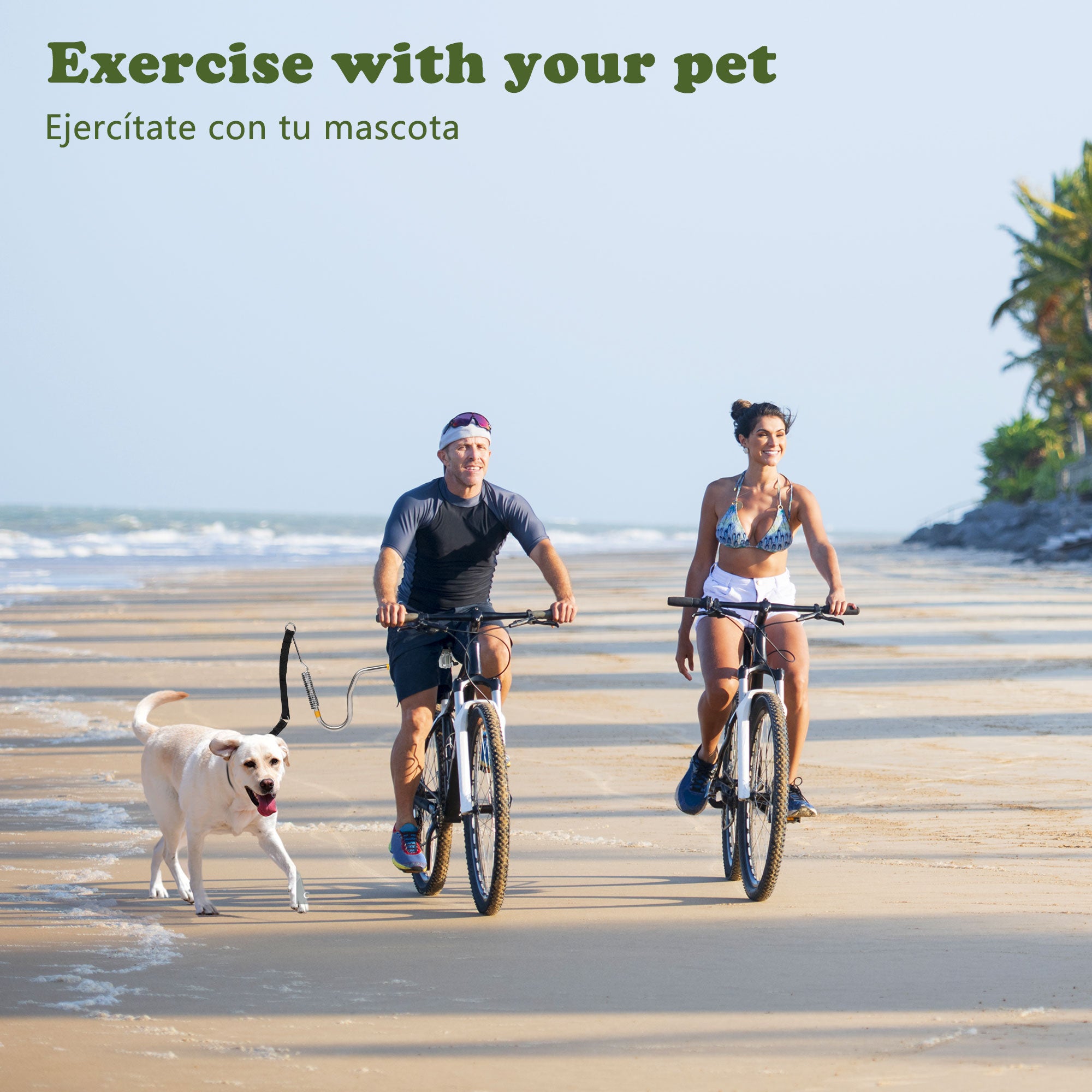 iPetba Heavy Duty Hands-Free Dog Bike Leash with Shock Absorbers, Adjustable Retractable Attachment, 1000 lbs Pull Strength, Perfect for Running & Cycling